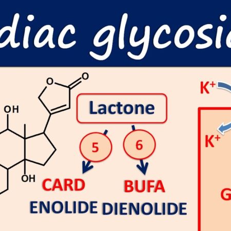 Cardiac Glycosides: A New Frontier in Liver Cancer Treatment