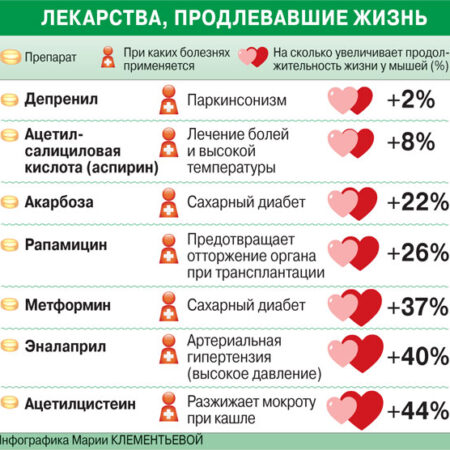 Комбинация препаратов существенно продлевает жизнь