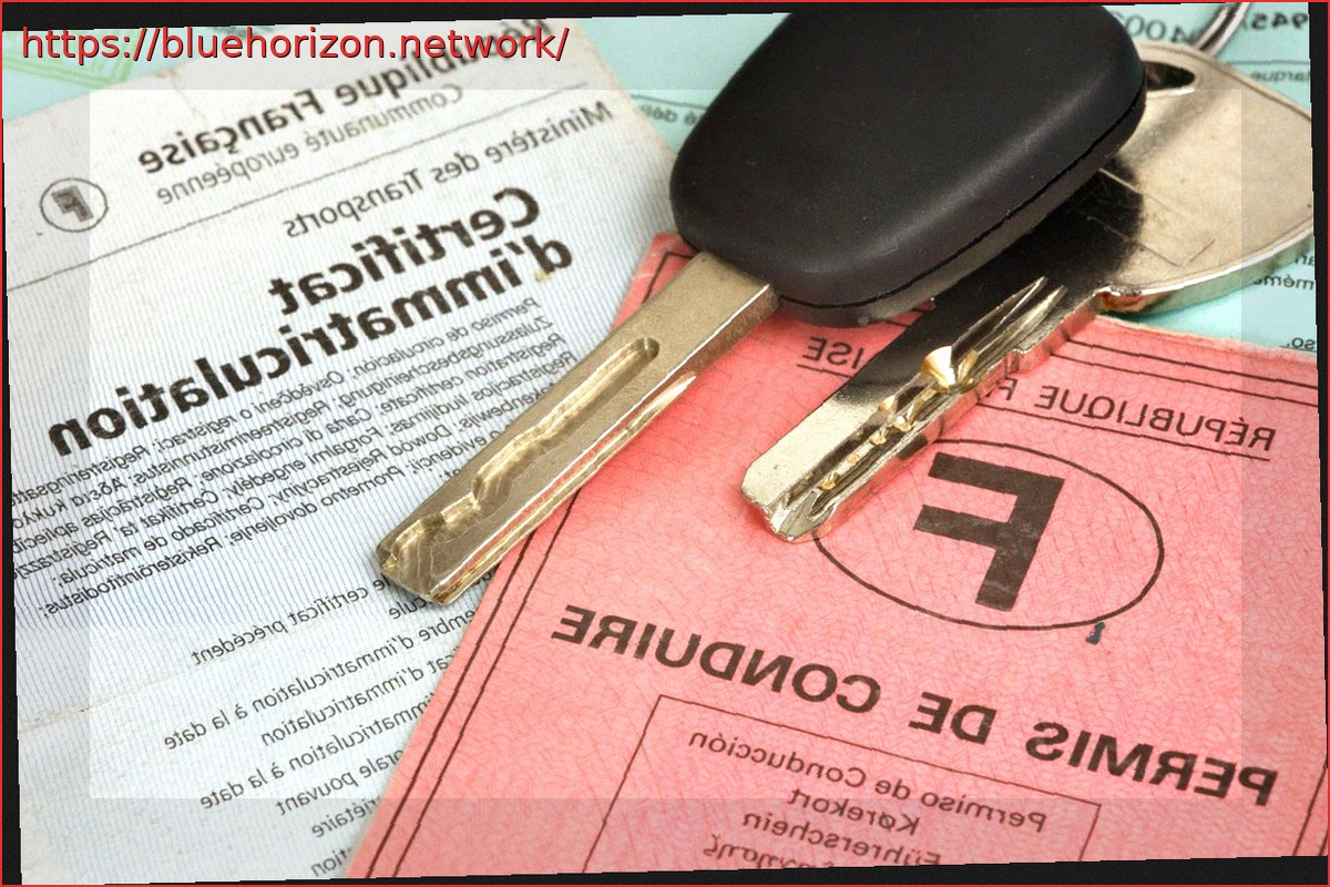 Preview Earn €25,000 to Surrender Your Driver’s License in This European Country