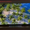LG C5 OLED TV: Unmatched Contrast & Premium Home Theater Experience