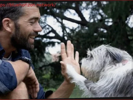 AI: A New Hope for Owners Searching for Lost Pets