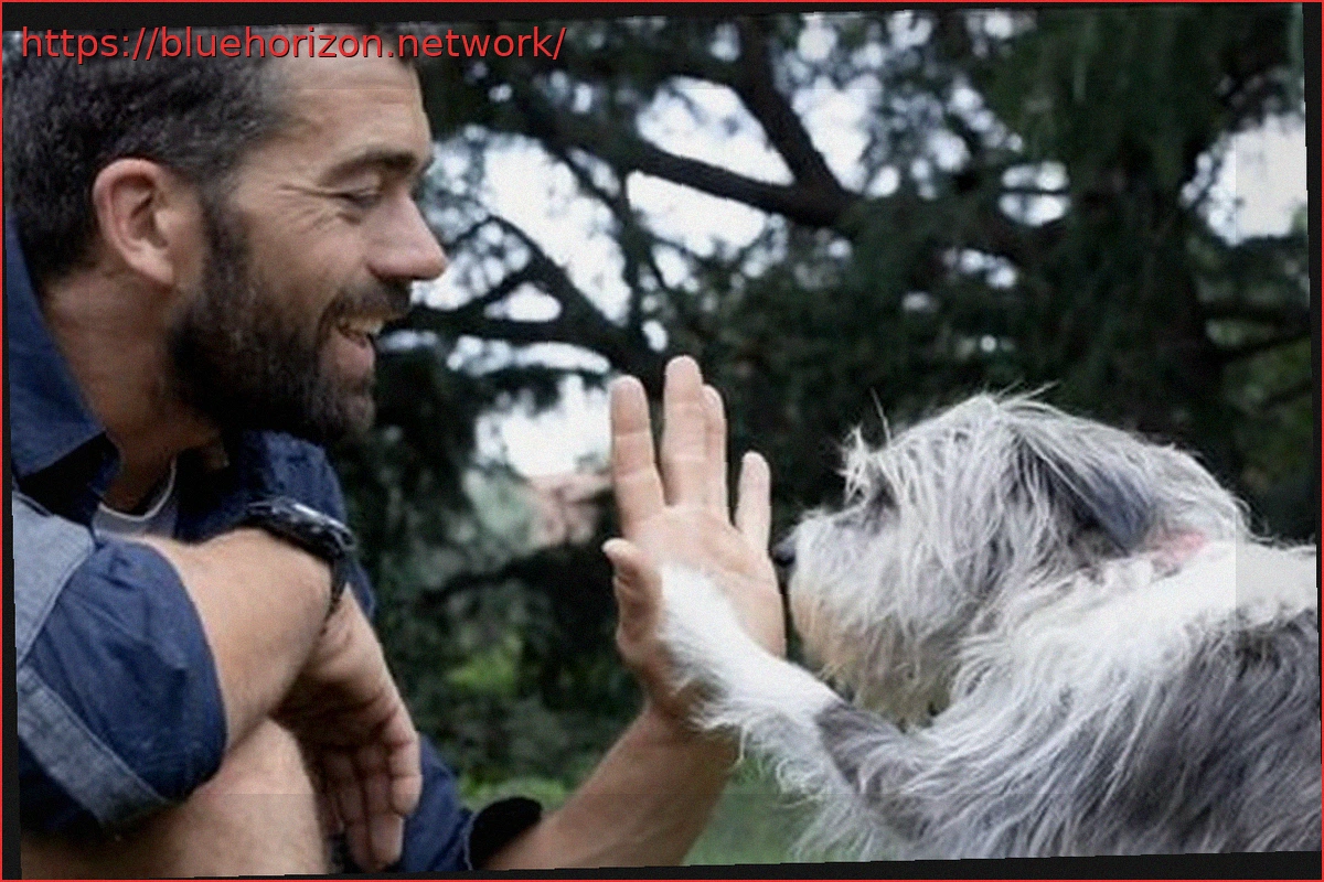 Preview AI: A New Hope for Owners Searching for Lost Pets