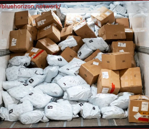 France’s Small Parcel Tax: Is It Already Failing?