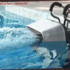 Discover the Revolutionary Robot That Transforms Your Private Pool into a True Olympic Aquatic Center!