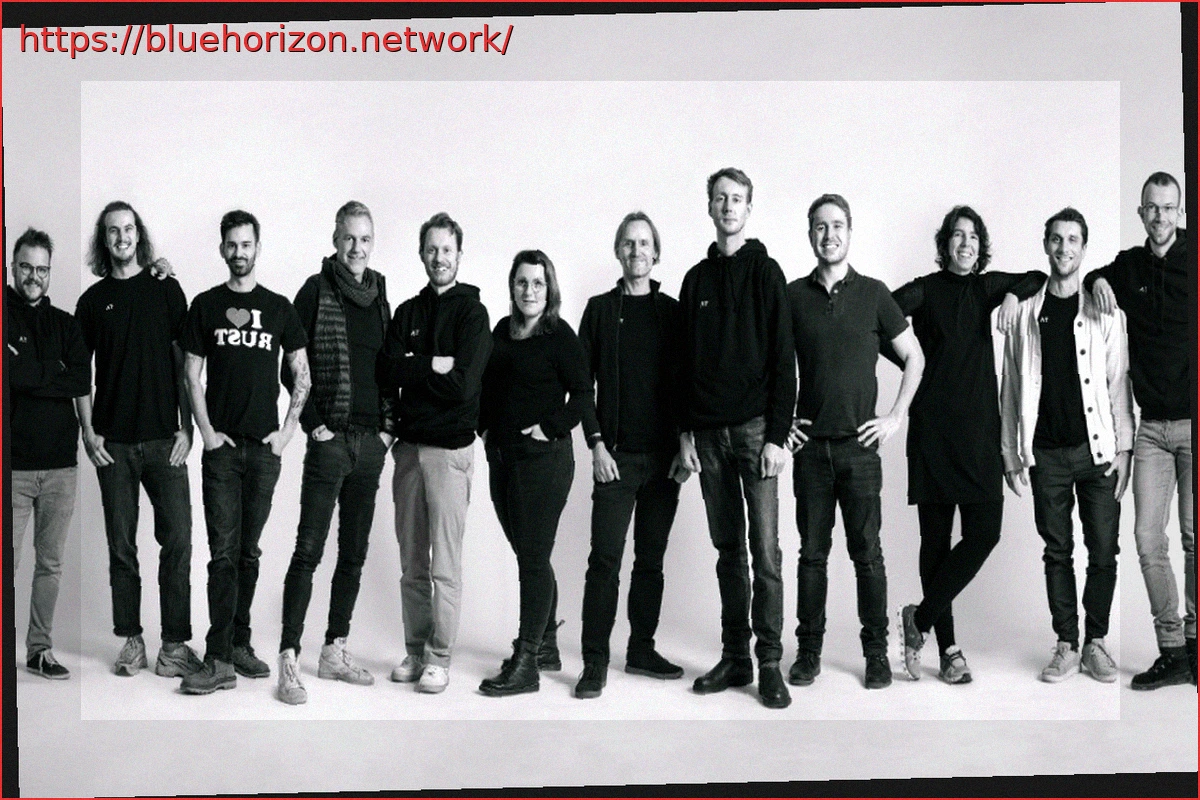 Preview TACEO Network: Revolutionizing Secure, Private Data Computation