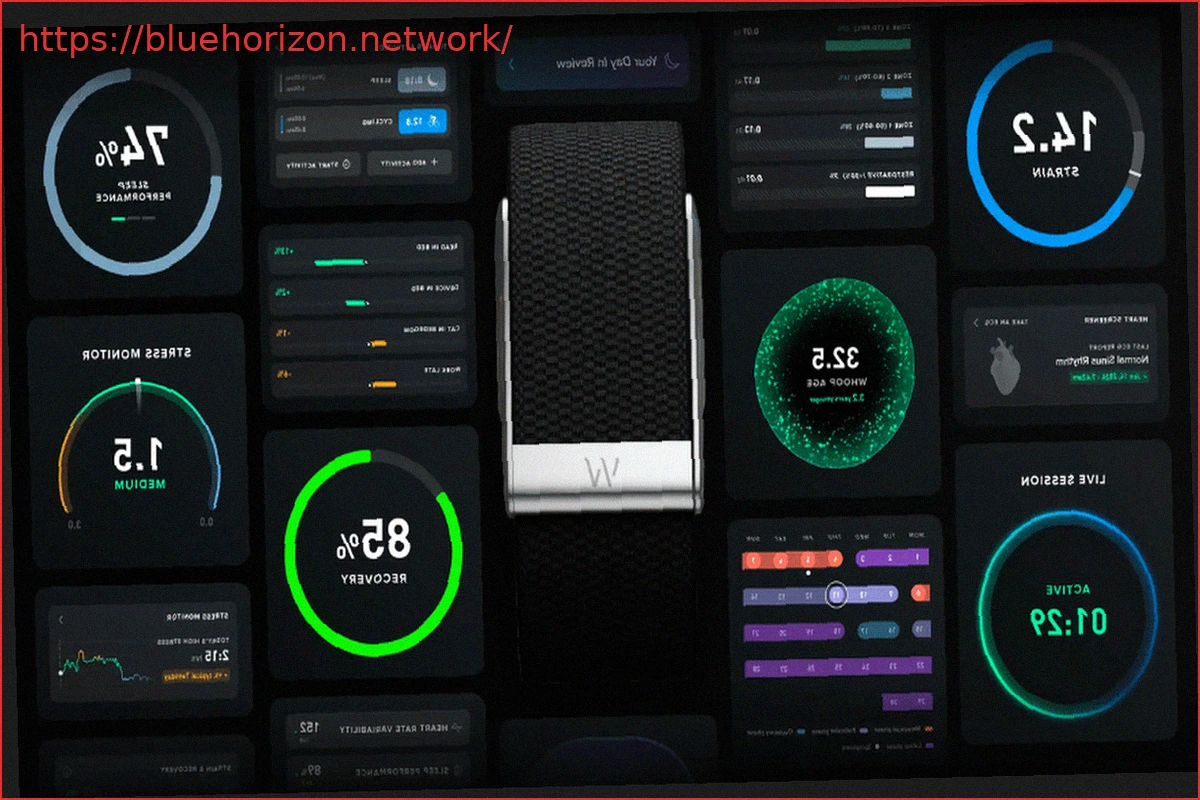 Preview WHOOP’s $10.1 Billion Valuation: $575M Series G Fuels IPO Ambitions