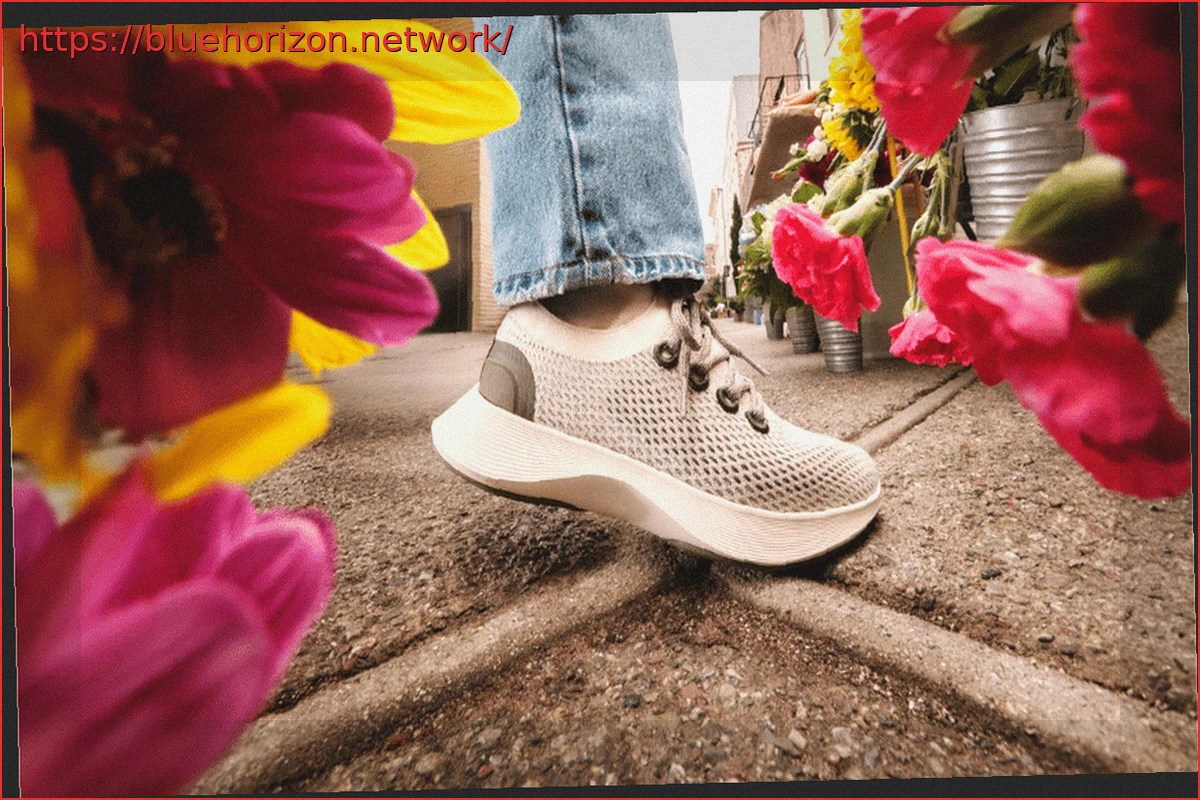 Preview Allbirds продает обувной бизнес за $39 млн и переходит на облачные вычисления с ИИ